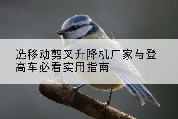 高阳电动升降机厂家-选移动剪叉升降机厂家与登高车必看实用指南