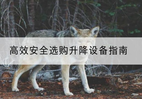 高阳升降货梯厂家推荐-*安全选购升降设备指南