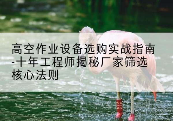 高阳剪叉式升降机厂家-高空作业设备选购实战指南-十年工程师揭秘厂家筛选核心法则